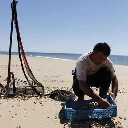 Casa Marias Ii - Inserido No Golden Club Lägenhet *