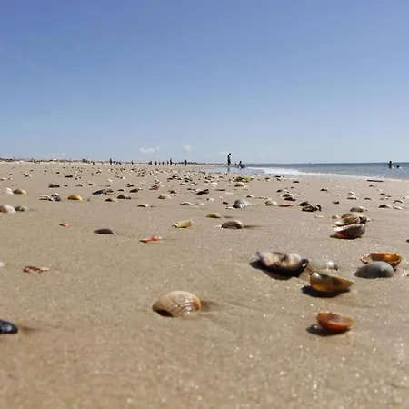 Casa Marias Ii - Inserido No Golden Club *